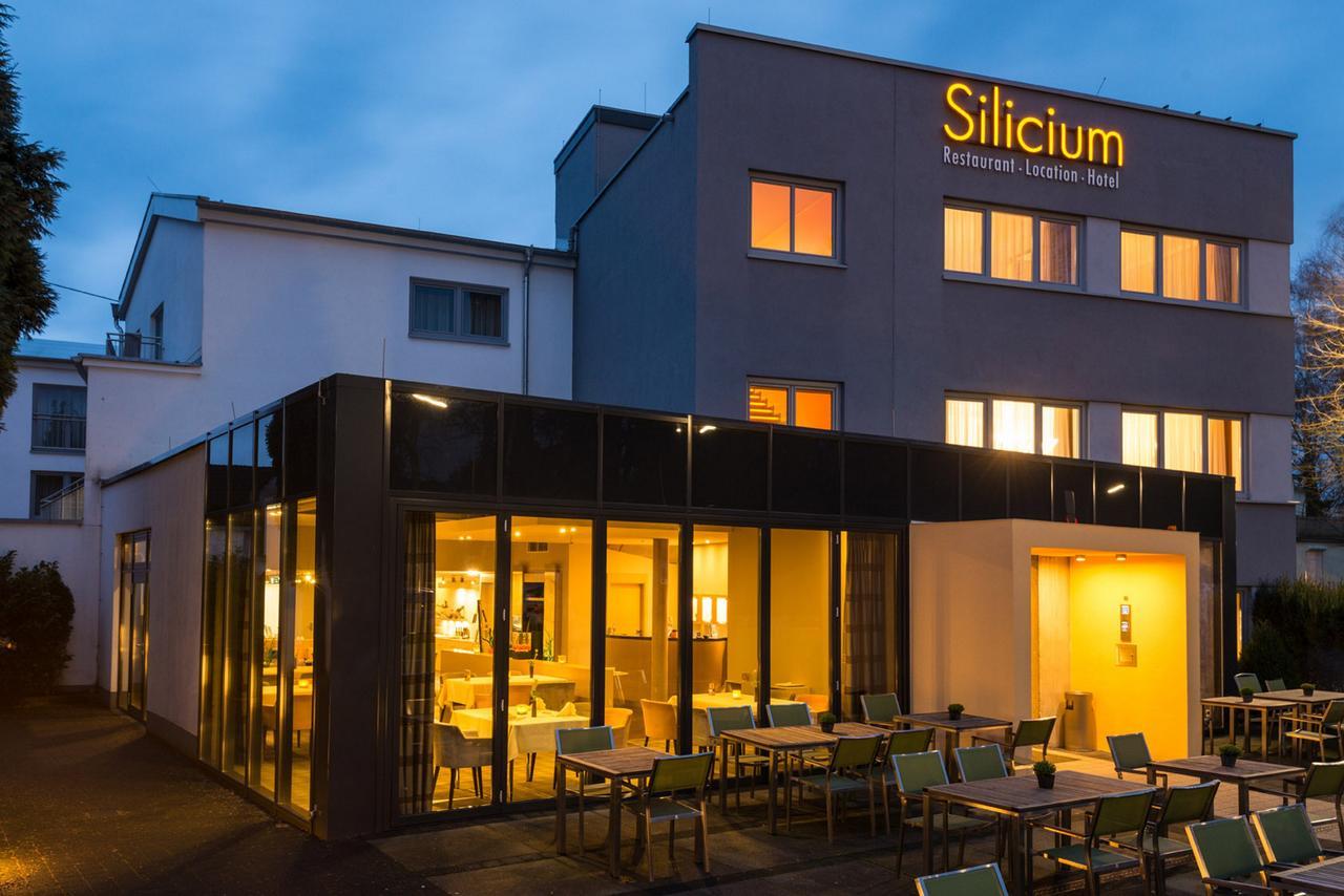 Hotel Silicium Höhr-Grenzhausen Extérieur photo